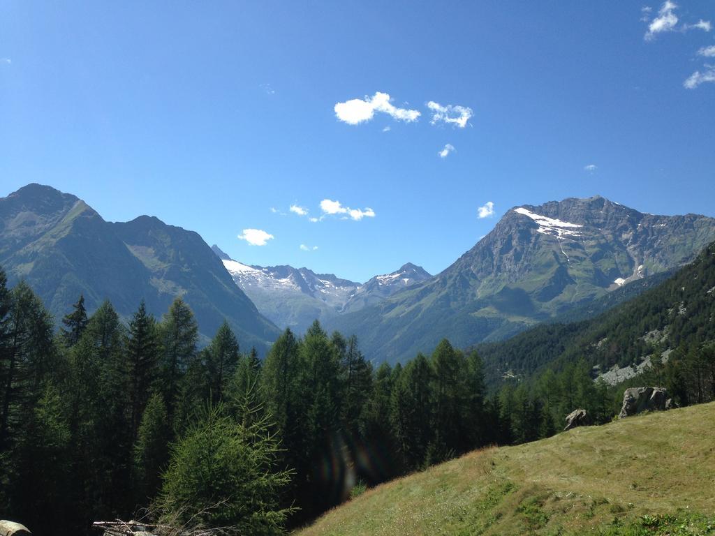 Sasso Nero Otel Chiesa in Valmalenco Dış mekan fotoğraf