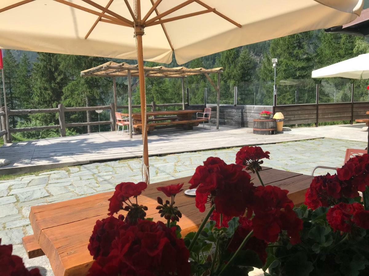 Sasso Nero Otel Chiesa in Valmalenco Dış mekan fotoğraf